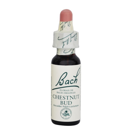 Bach Chestnut Bud Flowers (Chestnut) 20Ml. Bach
