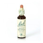 Flores de Bach Castanha Doce (Castanha Doce) 20Ml. Bach