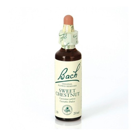 Flores de Bach Castanha Doce (Castanha Doce) 20Ml. Bach