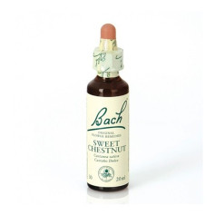 Flores de Bach Castanha Doce (Castanha Doce) 20Ml. Bach