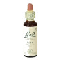 Bach Elm Flowers (Elm) 20Ml. Bach