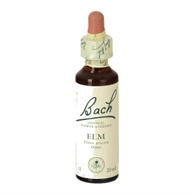 Bach Elm Flowers (Elm) 20Ml. Bach