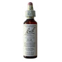 Bach Elm Flowers (Elm) 20Ml. Bach