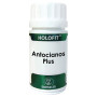 Holofit Antocianinas Plus 60 Cápsulas Equisalud