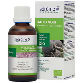 Extrato de Rabanete Preto Orgânico 50ml Ladrome