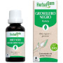 Extrato de Groselha Preta Orgânica 30ml Herbal Gem