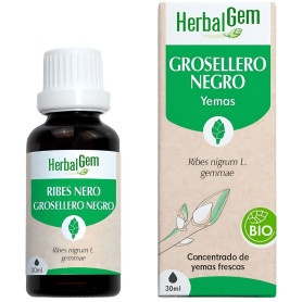 Extrato de Groselha Preta Orgânica 30ml Herbal Gem