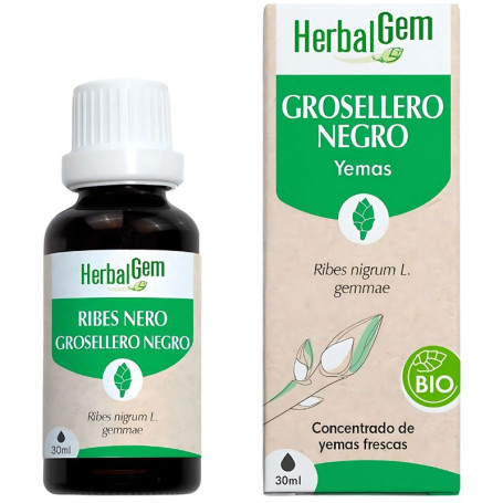 Extrato de Groselha Preta Orgânica 30ml Herbal Gem