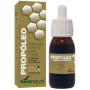 Extrato Hidroalcoólico de Própolis 50ml Soria Natural
