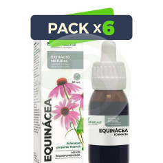 Pacote com 6 Extratos de Equinácea 50ml Soria Natural