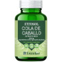 Fitosol Cavalinha 60 Cápsulas Ynsadiet