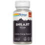 Super Shilajit 500Mg 60 Cápsulas Solaray