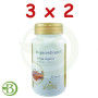 Pack 3x2 Megacordiceps C (Cordiceps) Jellybell