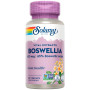 Boswellia 450mg 60 Cápsulas Vegetais Solaray