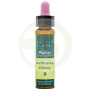 Elixir Floral 8 Chicória 10Ml. Plantis