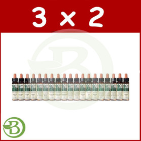 Pack 3x2 Elixir Floral 7 Chestnut Bud 10Ml. Plantis