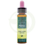Elixir Floral 12 Genciana 10Ml. Plantis