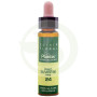 ELIXIR FLORAL 24 PINHO 10Ml. PLANTIS