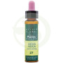 ELIXIR FLORAL 27 ROCK WATER 10Ml. PLANTIS
