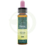 Elixir Floral 33 Noz 10Ml. Plantis