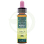 Elixir Floral 38 Molho 10Ml. Plantis