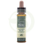 Elixir Floral 25 Castanheiro Vermelho 10ml Plantis