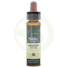 Elixir Floral 31 Verbena 10Ml. Plantis