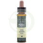 Elixir Floral 36 Avena Sil 10Ml. Plantis