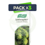 Pack 3x Santasapina Jarabe Vogel 200Ml.