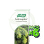 Pack 6x Santasapina Jarabe Vogel 200Ml.