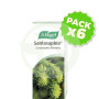 Pack 6x Santasapina Jarabe Vogel 200Ml.