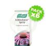 Pack 6x Echinaforce Spray Vogel 30Ml.