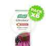 Pack 6x Echinaforce Hot Drink Vogel 100Ml.
