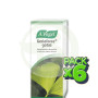 Pack 6x Ginkgoforce 100Ml. A. Voguel (Bioforce)