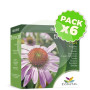 Pack 6x Bronocho Plus 20 Sobres Conatal