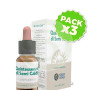 Pack 3x Quintaesencia Semi Caldi 10Ml. Forza Vitale