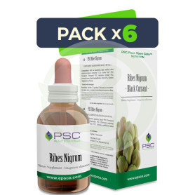 Pack 6x PSC Ribes Nigrum 15Ml. Forza Vitale