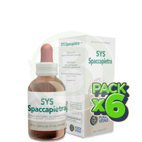 Pack 6x Sys Spaccapiedtra 50Ml. Forza Vitale