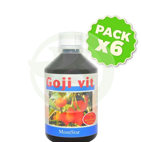 Pack 6x Goji Vit Liquid 500Ml. Espadiet