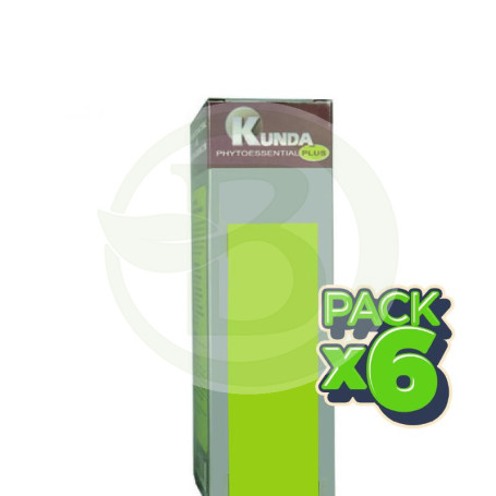 Pack 6x Champú Miel 250Ml. Kunda Plus