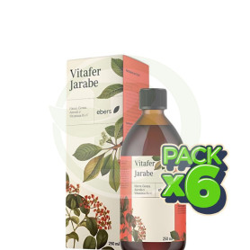 Pack 6x Vitafer Jarabe 250 Ml Ebers