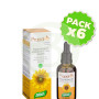 Pack 6x Propolflor Extracto Bio 50Ml. Santiveri