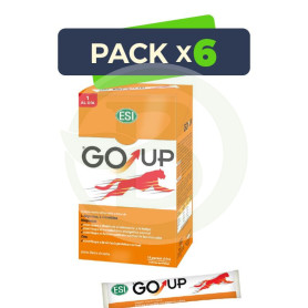Pack 6x Go Up 16 Stick ESI