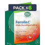 Pack 6x Ferrolin C 30 Sticks Esi