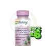 Pack 6x Arabinogalactano 60 Cápsulas Vegetales Solaray