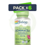 Pack 6x Echinacea (PUR/ANGUS) 460Mg. 100 Cápsulas Solaray