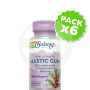 Pack 6x Mastic Gum 500Mg. 45 Cápsulas Vegetales Solaray