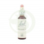 Flor de Hornbeam de Bach (Folha) 20Ml. Bach