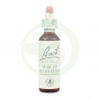 Bach Star of Bethlehen Flowers 20Ml. Bach