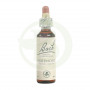 Flores Bach Agrimony (Agrimonia) 20Ml. Bach